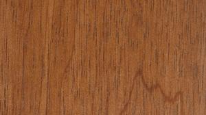 Brown Brushbox Brown Brushbox