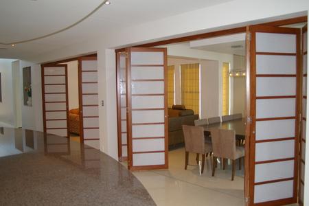 Contemporary Shoji Doors