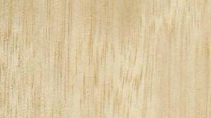 Tasmanian Oak Tasmanian Oak